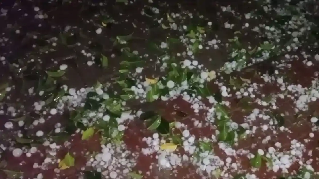 बंगाल की खाड़ी में बन रहे चक्रवाती परिसंचरण का झारखंड में असर, 5 मई तक कई जिलों में ओलावृष्टि की आशंका