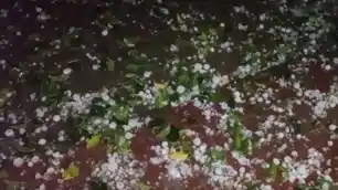 बंगाल की खाड़ी में बन रहे चक्रवाती परिसंचरण का झारखंड में असर, 5 मई तक कई जिलों में ओलावृष्टि की आशंका