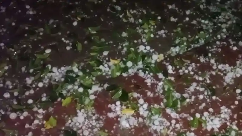 बंगाल की खाड़ी में बन रहे चक्रवाती परिसंचरण का झारखंड में असर, 5 मई तक कई जिलों में ओलावृष्टि की आशंका बंगाल की खाड़ी में बन रहे चक्रवाती परिसंचरण का झारखंड में असर, 5 मई तक कई जिलों में ओलावृष्टि की आशंका