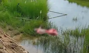 फुटबॉल देखने घर से निकली थी महिला, नहर के किनारे मिला शव