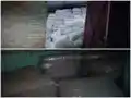 बिहार में अवैध खाद निर्माण का खुलासा, कई हिरासत में, मशीनें जब्त