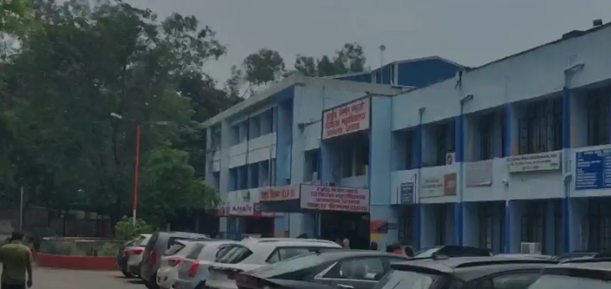 आवारा कुत्ते का खौफ, घर के बाहर खेल रहे चार साल के बच्चे के चेहरे को नोचा