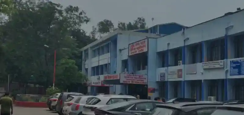 आवारा कुत्ते का खौफ, घर के बाहर खेल रहे चार साल के बच्चे के चेहरे को नोचा आवारा कुत्ते का खौफ, घर के बाहर खेल रहे चार साल के बच्चे के चेहरे को नोचा
