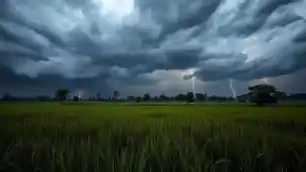 झारखंड में बदलेगा मौसम का रुख, कई जिलों में गरज-चमक के साथ होगी तेज़ बारिश