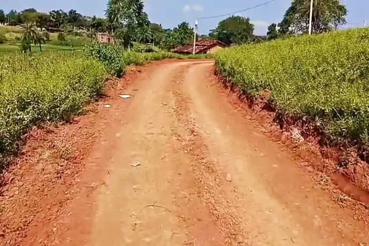 पलामू में महिलाओं ने पेश की सामूहिक शक्ति की मिसाल, मंईयां सम्मान योजना की राशि से बनायी सड़क