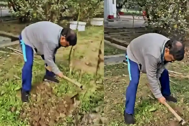 रिटायर्ड IAS डॉ. एस. सिद्धार्थ ने सादगी की मिसाल पेश की, गार्डन में कुदाल चलाते वीडियो हुआ वायरल S सिद्धार्थ