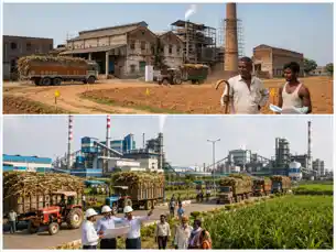 दरभंगा और सकरी चीनी मिल से बदलेगी मिथिलांचल की तस्वीर, रुकेगा पलायन, मिलेंगे रोजगार, ₹852.43 करोड़...