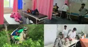नीलगाय ने डाली खतरे में जान, अचानक सामने आने पर गड्ढे में गिरे ऑटो, कई घायल
