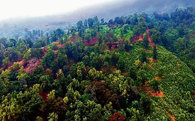 झारखंड में 20 हजार करोड़ की परियोजनाएं अटकी, फॉरेस्ट क्लीयरेंस के इंतजार में विकास कार्य ठप झारखंड में 20 हजार करोड़ की परियोजनाएं अटकी, फॉरेस्ट क्लीयरेंस के इंतजार में विकास कार्य ठप